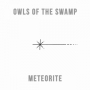 Owls of the Swamp - Meteorite