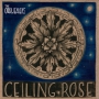 The Orbweavers - Ceiling Rose