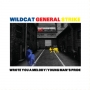 Wildcat General Strike - Wrote You A Melody