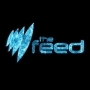 SBS - The Feed